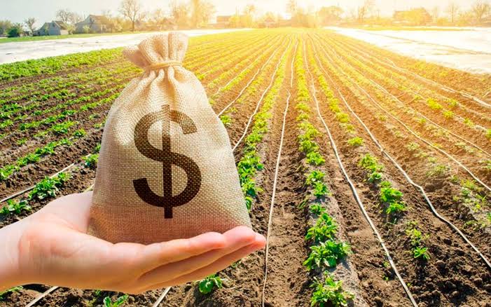 Recuperação judicial no agronegócio bate recorde em 2026 mesmo com expectativa de safra histórica